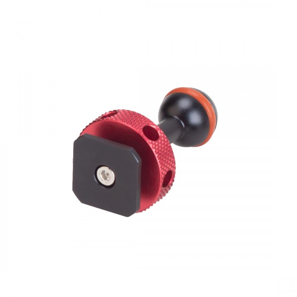 Nitze 15mm Ballhead with Cold Shoe Adapter - N50-T12
