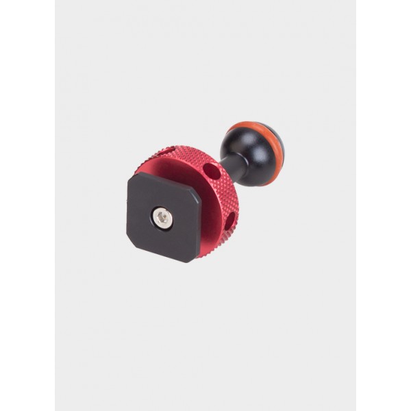 Nitze 15mm Ballhead with Cold Shoe Adapter - N50-T...
